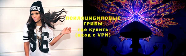прущая мука Алзамай