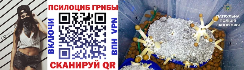 Галлюциногенные грибы Magic Shrooms  Брянск 
